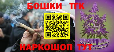 ECSTASY Камышлов