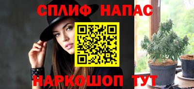 ECSTASY Камышлов
