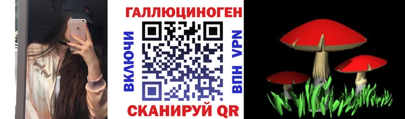 Галлюциногенные грибы ЛСД  купить наркотик  Кудрово 