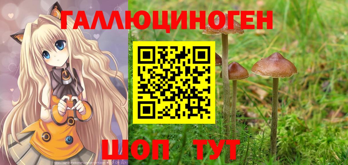 Галлюциногенные грибы MAGIC MUSHROOMS  Кудрово 