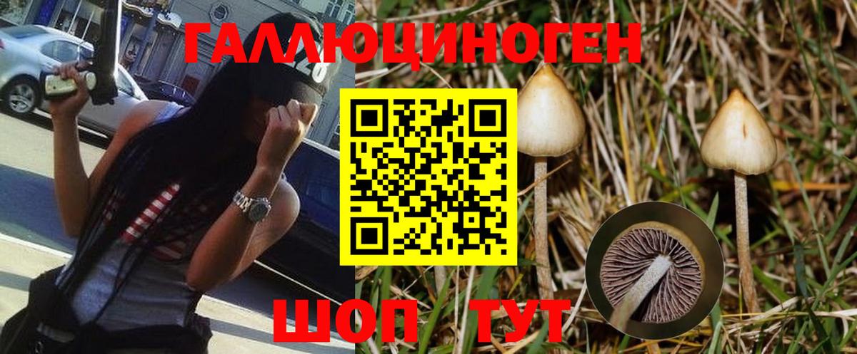 Кудрово  Псилоцибиновые грибы мухоморы  Вход с VPN 