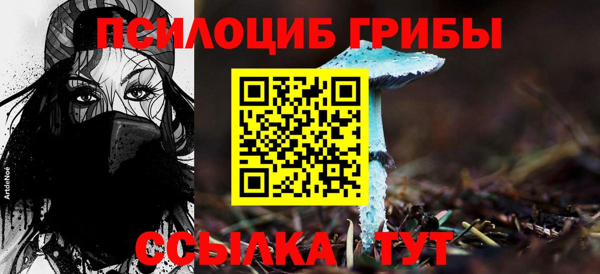 Галлюциногенные грибы GOLDEN TEACHER Кудрово